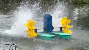 กังหันไฟฟ้า750W รุ่นประหยัดไฟ เครื่องบำบัดน้ำเสีย