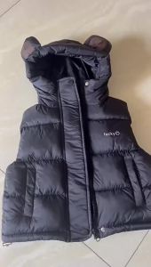 Baby Hooded New Vest Fall Winter Style Kids Hooded Vest Solid Color Ear Down Vest Toddler Cotton Jacket Sleeveless Hooded Vest
