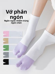 JINGCHI | Tất lót hai ngón cho nữ mùa hè mỏng đến giữa bắp chân bằng vải polyester và PU co giãn thường ngày màu trơn tất năm đôi