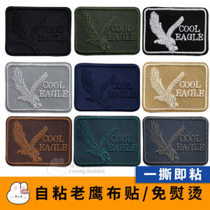 New Square Eagle Self Adhesive Patch Embroidered Fabric for T-Shirt Hoodie down Jacket Hole Repair Decoration Stitching