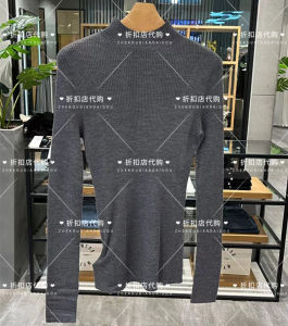 Autumn Wheat Lemon 2024 Womens Knitted Woolen Sweater Base Layer Long Sleeve Half High round Neck Regular Fit Korean Style