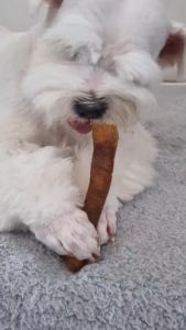Beef Collagen Sticks for Dogs แท่งคอลลาเจน สำหรับสุนัข แทะทน นาน umm ขนมหมา