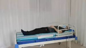 [Same-Day Delivery] Electric 2 Function Backrest and Footrest Adjustable Support Bed + Mattress