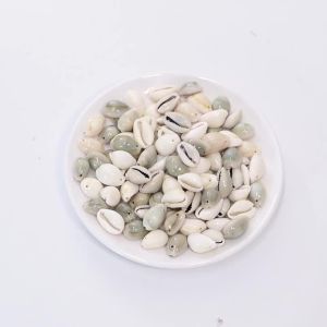 50g/lot With Hole Natural Seashell Beads Charms Loose Spacer Beads For Jewelry Making DIY Crafts Necklace Bracelet Bohemian