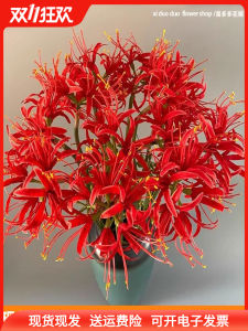 Đạo Cụ Chụp Ảnh Hoa Giả Cổ Điển Cho Phòng Làm Đẹp Quần Áo Cửa Hàng Trang Trí Hoa Nhựa Thủ Công Chất Liệu Vải Thắt Lưng