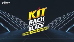 KIT BACK TO BLACK 250ML TRIM PLASTIK PENGHITAM BODY MOBIL & MOTOR
