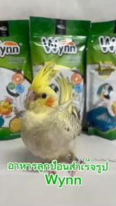 LLP วินน์ Wynn อาหารลูกนกป้อน อาหารนกลูกป้อนเสริมสร้างภูมิต้านทาน 1 ถุง ขนาด 250 กรัม