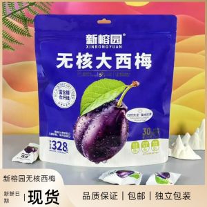New Garden Seedless Dried Plums Individually Packaged Snacks Low Fat Sour Sweet Tasty Chinese Plum Snacks from Guangdong