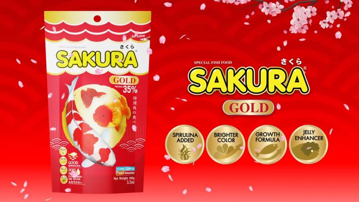 🔥ล็อตใหม่🐠สูตรใหม่!! อาหารปลาซากุระ Sakura Gold ขนาด 1 กก.