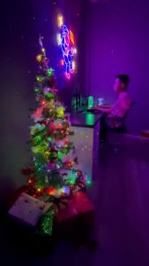 Đèn Fairy Light 16 triệu màu điều khiển APP điện thoại dây led nháy đuổi decor phòng trang trí tết noel