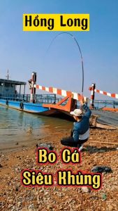 Cần Câu Tay Hồng Long Bản Hồng Xanh (tặng ngọn phụ) cần câu 12H siêu bạo lực CT28 - Sanami Fishing