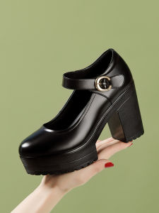 LANYILIAN | Round Toe Water Resistant Thick Heel Single Shoes