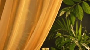 Kottakkal Mahamasha Tailam Ayurvedic Herbal Massage Oil Herbal medicated oil Relief from Joint Pain Nerve Rehabilitation Management of Sciatica & Spinal Discomfort Muscle Nourishment Medicated massage oil