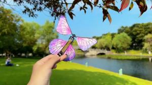 Butterfly Handmade Set Of Painted Art Cards - Childrens Gift Wedding Decoration Items Outdoor Toys