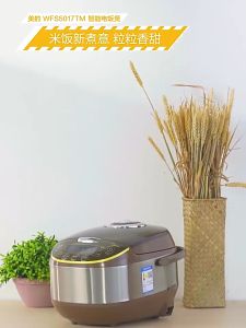 Rice Cooker 5L: Pembuat Nasi Elektronik Kapasitas 5 Liter