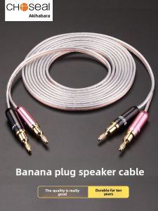 Choseal | High-End Audio Cable Copper Speaker Wire Banana Plug