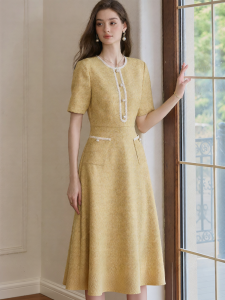 Roey s house | Elegant Waist-defining Flared A-line Dress