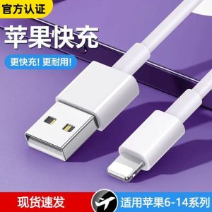 Suitable for Apple 14 Data Cable 20W Fast Charging PD Head 11 Charging iPad Short Max6s Flash Charging 12 Tablet 2 M 8plus Mobile Phone Iphone13 Charger XR Charging Cable
