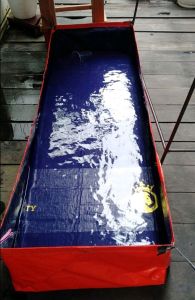 kolam terpal buat ikan a5 ready 150x50x25