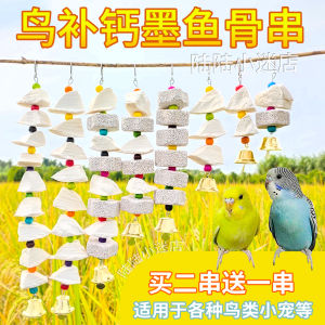 Cuttlebone String Xuanfeng Peony Budgerigar Calcium Supplement Molar Supplies Bird Food Squirrel Hanging String Bite Toy Utensils