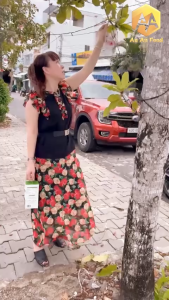 bột gạo lứt hạt sen mè đen ( Lon 6oo gam có hộp) giúp cải thiện sức khỏe xương khớp và có giấc ngủ ngon hơn