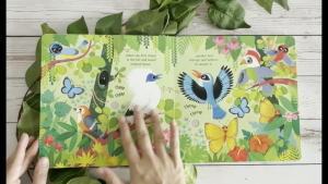 Usborne Sound Books: Zoo Sounds