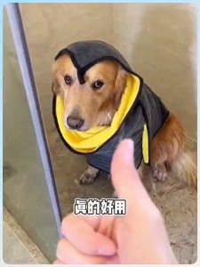 ผ้าขนหนูสัตว์เลี้ยง ผ้าเช็ดตัวสุนัข ผ้าไมโครไฟเบอร์ ผ้าเช็ดตัวแมว ผ้าทำความสะอาด เช็ดแห้งเร็ว ผ้าเนื้อนุ่ม ซึมซับน้ำได้ด