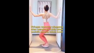Alat Olahraga Pelangsing Tubuh Pengecil Perut Pinggang Waist Twisting Disc Magnetic