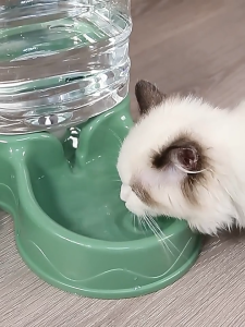 Pet Water Dispenser Siphon Capacity Automatic Water Storage Cat Food Cat Automatic Water Feeder 3.5L Large Capacity Non-Stuck Dog Feeder Set