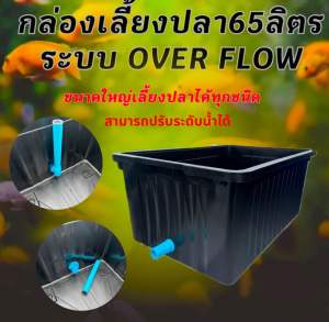 อ่างเลี้ยงปลา 65 ลิตร ระบบoverflow 64x44x31ซ. สามารถปรับระดับน้ำ และถอดท่อเปลี่ยนน้ำได้ กะบะเลี้ยงปลา อ่างเลี้ยงปลา อ่างปลาสวยๆ