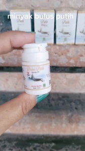 LADYSTYLE BIO HERBAL MINYAK BULUS PUTIH BPOM - Oil Wanita dan Pria - Asli Original