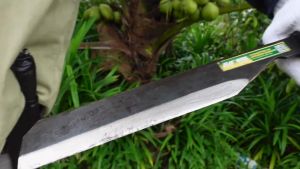 Garden_Knife Attap#PARANG_Knife_Pisau Kebun Atap /Attap Knife 12/14/16/18 inch