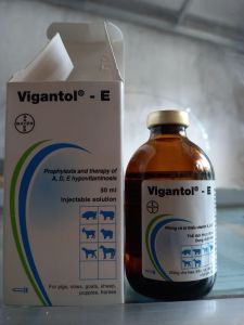 Vigantol E  50ml Elanco phòng và trị thiếu vitamin ADE cho gia súc