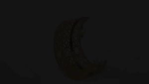 Minimalist Style Gold Moon Cutout Tray Snack Tray Dry Fruit Platter Nut Storage Tray Home Decor  Wedding Party Tray