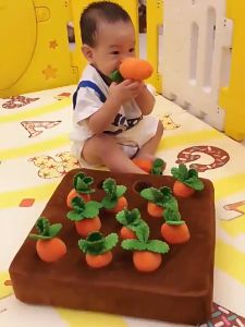 เล่นสัตว์เลี้ยง ของเล่นสุนัข ของเล่นแมว ของเล่นสำหรับแมว - ตุ๊กตากัดเล่น ที่เคี้ยว - แครอทสุนัข