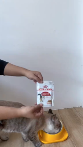 85g 12 Pouches Box Royal Canin Instinctive All Stages Adult Kitten Cat Cats Wet Food Pouch Pet Food
