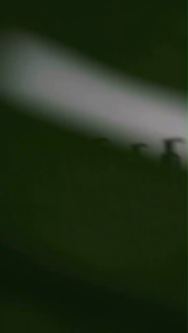 Secret Garden Body Lotion 250ml Pelembap Badan With Vitamin E UV Filter Wangi Alami Tahan Lama Untuk Kulit Kering Mencerahkan Whitening Moisturizer