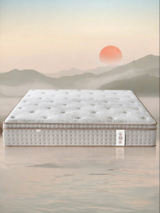 Spine Protection Hard Mattress