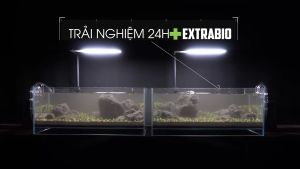 Extra Bio | Vi sinh bể cá làm trong nước