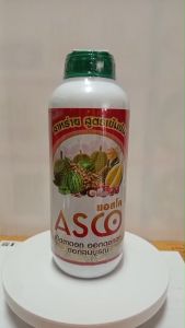 สาหร่าย(แอสโค่)สูตรเข้มข้น 1 ลิตร