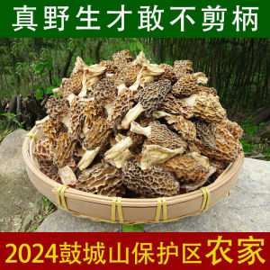 เห็ด Morel ป่าพรีเมี่ยมแห้งธรรมชาติพื้นที่ภูเขา 500g อาหารนิเวศน์บริสุทธิ์ดีกว่าทิเบตยูนนานใช้ในบ้าน