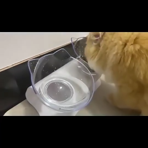 Pet Bowls Dog Food Water Feeder Pet Drinking Dish Feeder Cat Puppy with Raised Feeding Supplies Small Dog Accessories Pet Produc