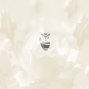 Crousel Sandal Wedges \ Women -  Joane V2 Navy