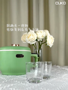 CukoElectric Cooker Smart Stew Pot 1.2L 1-2 People Small Rice Cooker Electric Cooking Pot Multifunctional Household Dormitory Electric Heating Cooker Rice hot pot soup pot gift Travelling Pot Multifunction cooking pot