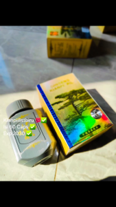 Kian Pi BPOM Isi 60 Kapsul - Obat Cina Penggemuk Badan Dewasa