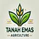 TANAH EMAS AGRICULTURE