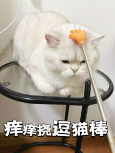 Interactive Cat Toy Scratch Stick Anti-Bite Playful Cat Teaser Wear-Resistant Fun Pet Supplies That Can Entertain Themselves