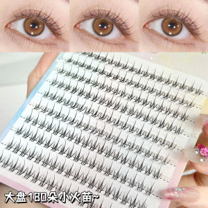 Natural Looking Fairy Tail False Eyelashes Single Cluster Easy to Use Plastic Transparent Stem Artificial Fiber for Any Skin Type
