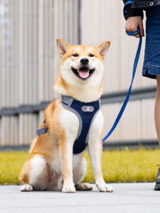 Dog Leash Vest Type Small Medium Size Anti Explosion Chest Strap Walking Dog Rope Shar Pei Collar Pet Dog Chain