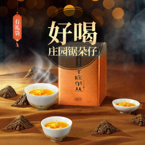 Special Grade Yaoshixiang Phoenix Dancong Oolong Tea 500g